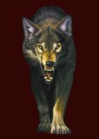 [GL] Wolf-im-Schafspelz Logo